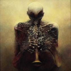 A Gaze Blank and Pitiless as the Sun